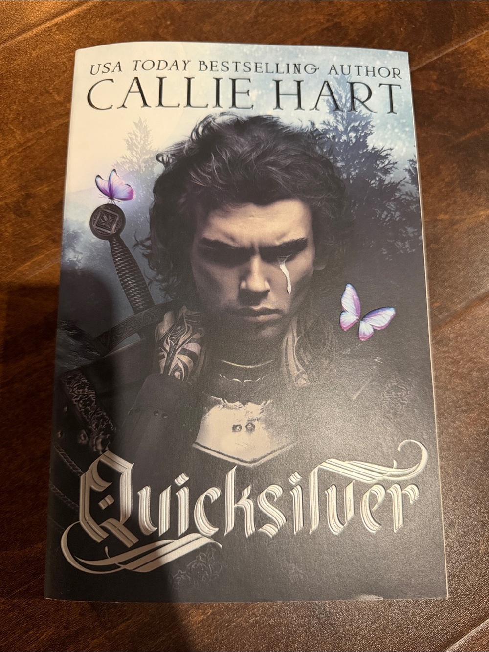 Quicksilver - Black and Purple Paperback Novel